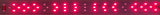 RED Booster 660nm or 730nm or 660 + 730nm "Emerson effect" LED Sun Board Grow Strip - FTL Express