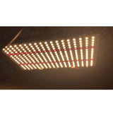 125W 3000k+660 NM Quantum Grow Light Samsung LM301B LEDs and Meanwell HLG Driver - FTL Express